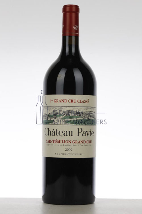 Picture of 2009 PAVIE